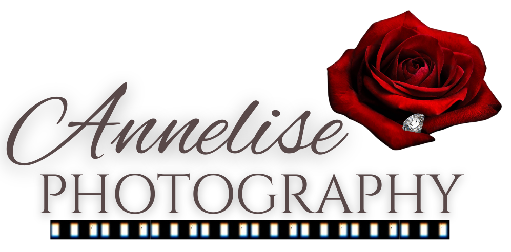 Annelise Photography